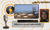 دلایل عدم نصب تجهیزات گوگردزدایی از دود در نیروگاه‌ها