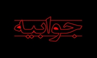 حکم صادر شده در پرونده نیروگاه ری اولیه است/ پرونده در مرحله تجدید نظر قرار دارد