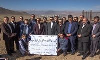 پویش نهالکاری همگانی برای ایرانی سرسبز