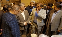 بازدید مهندس پیشاهنگ از نیروگاه گازی خلیج فارس