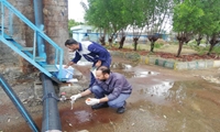 سنجش و اندازه گیری آلاینده های زیست محیطی  نیروگاه بندرعباس