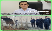 کاشت بیش از ۱۰ هزار نهال در نیروگاه شهید مفتح در هفته منابع طبیعی و روز درختکاری